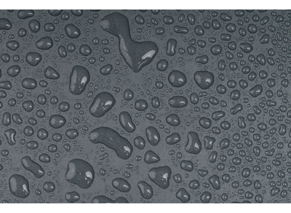 Alto Bigfoot Footprint