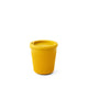 Arrowwood Yellow