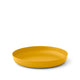 Arrowwood Yellow